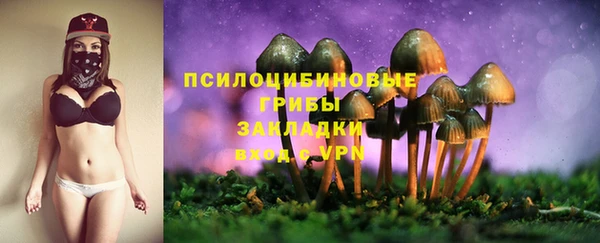 кокаин Богданович
