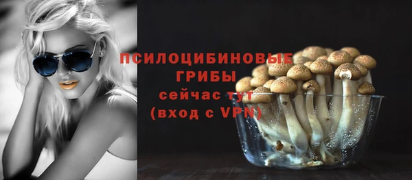 кокаин Богданович