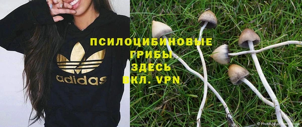 кокаин Богданович